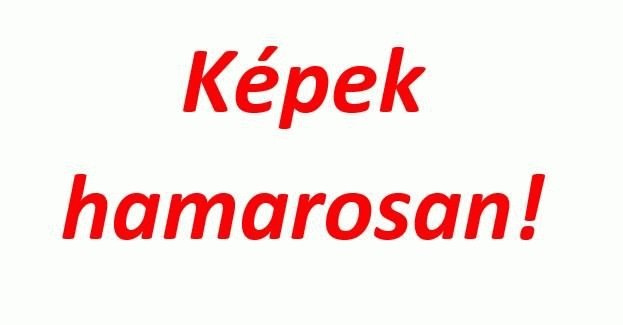 9cfba7b47012e2fd3d36f9fc28ab7609e3e39346a7c9bfc68bc52ee9d69b0ab5.jpg